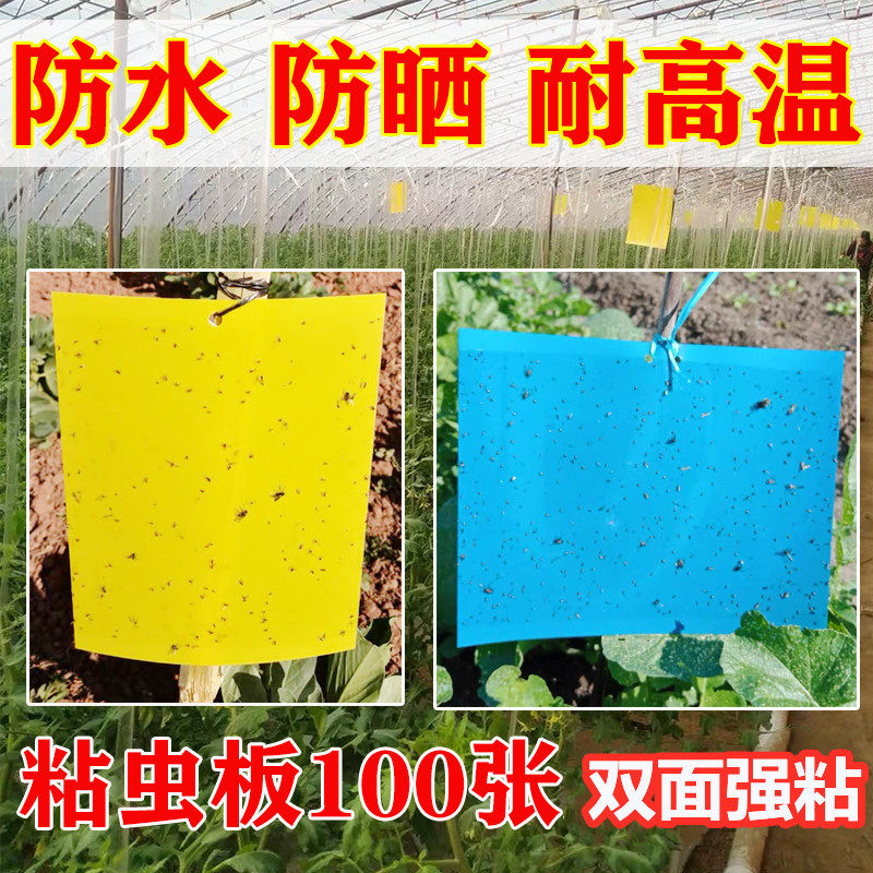 Small flying insect trap insect trap yellow board fruit tree sticky board blue flower double-sided strong vegetable shed sticky paper orchard