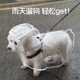 Dog Raincoat Transparent Waterproof Rain Clothes Dog Walking Essential Small and Medium-Sized Dogs Bichon Teddy Rain Poncho Pet Raincoat