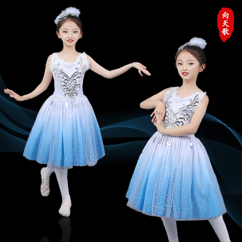 61 Children's Performance suit Small Horwind Dancing Suit Princess Dress Girl Fluffy Skirt dress Dress Chorus  