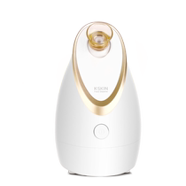 Golden Rice Aromatherapy Facial Steamer Nano Hot Spray Eye Steamer Home Facial Moisturizing Atomizer Sprayer Beauty Instrument 718
