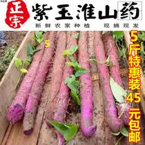 Fresh purple jade Huaishan fresh long farm-grown iron rod purple sweet potato seeds direct-delivered agricultural products from the place of origin