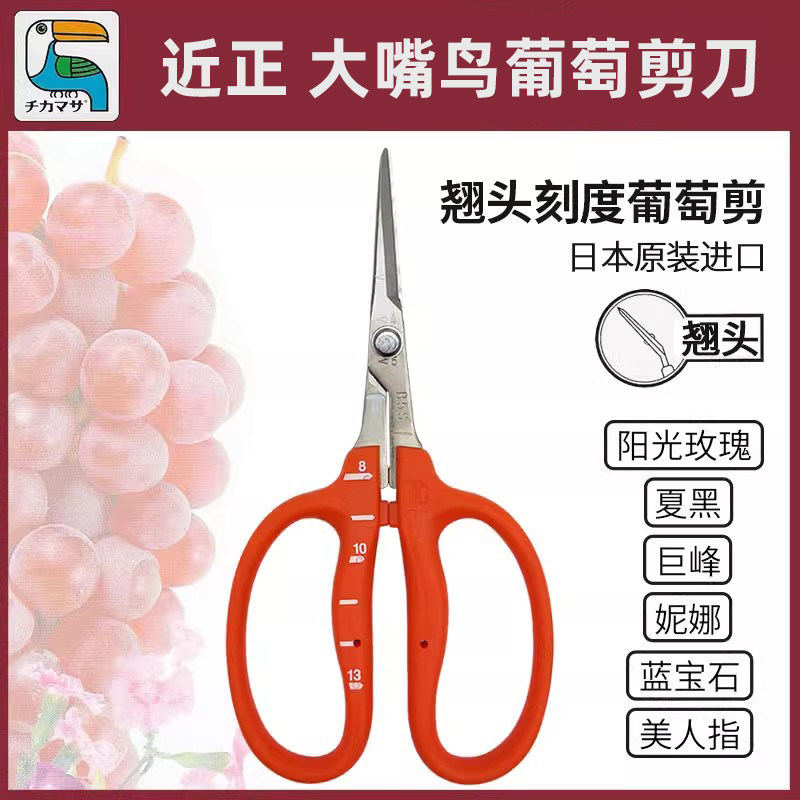 近正大嘴鸟chikamasa进口葡萄蔬菜疏果修枝专用剪刀阳光玫瑰镊剪