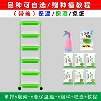 Single Six -Layer/6 с крышкой+6 видами+водопасы+бумага