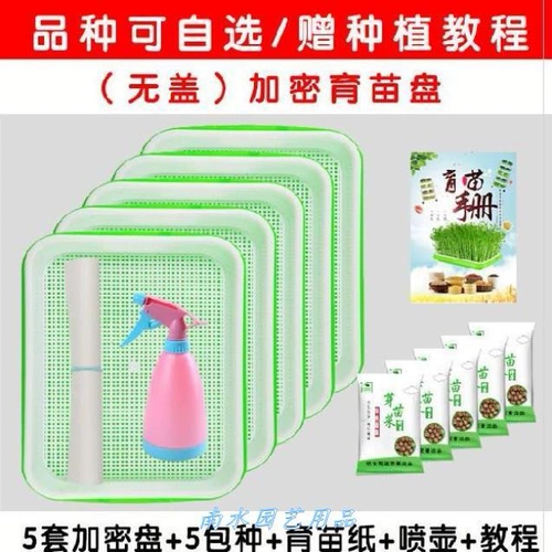 Гидропонные овощные посадки без блюд. Культивирование почвы