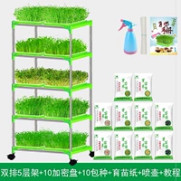 Двойной пять -слой/10 диск шифрования+10 видов+водопасы+бумага