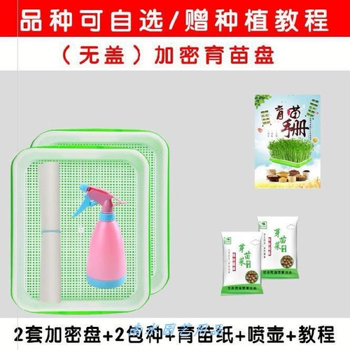 Гидропонные овощные посадки без блюд. Культивирование почвы