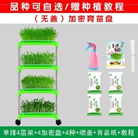 Односторонний четыре -слой/4 диск шифрования+4 вида+водопасы+бумага