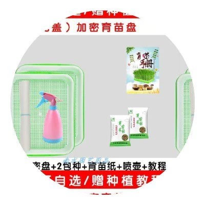 Гидропонные овощные посадки без блюд. Культивирование почвы
