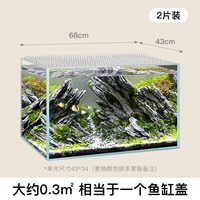 (Прозрачный) 43x34 [2 шт. в упаковке] В комплекте 8 наклеек с наномаркировкой.