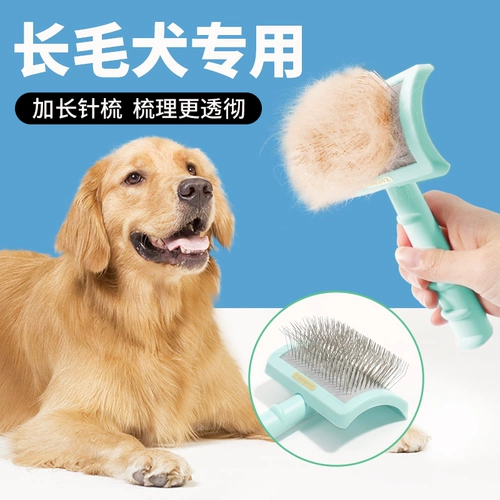 Собачья гребня Золотой Мурлм Мапамара Аляска собака собаки домашние животные Специальные домашние животные Специальные Политы Курфина F