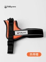 Жар апельсина большая собака Bare Boys ремень