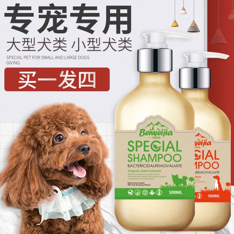 Body Lotion bath Puppy body lotion Bath Lotion SPECIAL CHAMPOTEDI GOLD WOOL PET SUPPLIES KITTY MITES MITES