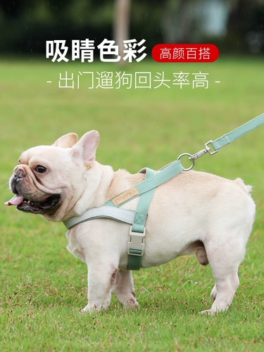 Повод собаки, маленькая собака плюшевого жилета, грудь Бишон Хироми