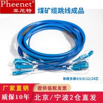 Pheenet菲尼特煤矿用途光缆免熔接光纤跳线成品光缆跳线SC LC FC ST接头4 6 8 12芯长度可定制9.0 5.0线径