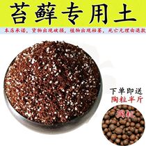 Moss soil Moss special soil 5kg special green planting nutrient soil general household planting acid soil fertilizer