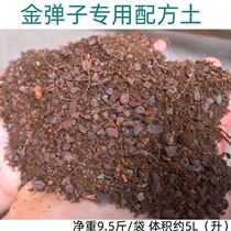 Weathered soil weathering fossil gold marbles special soil rooting fast acid laterite sandy soil fleshy granular orchid nutrient soil