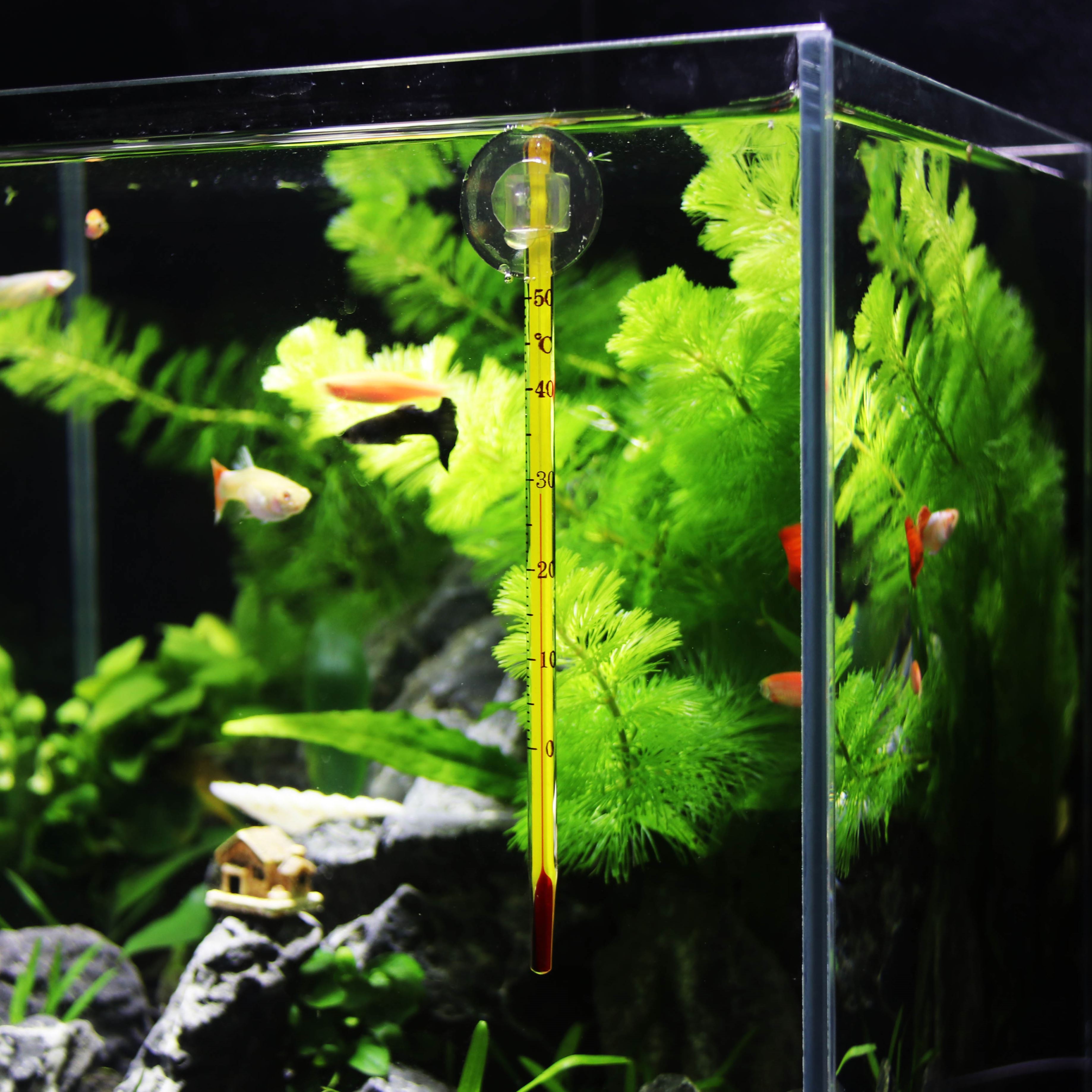 Water Spotting Fish Tank Thermometer Aquarium Water Temperature Gauge Mini Fat Thermometer Floating Water Thermometer Anti-Fall