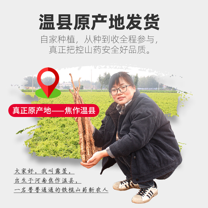 2026年铁棍山药早餐茶怎么选？为何焦作温县垆土熟粉成营养餐新主力？