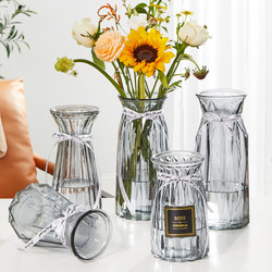Minimalist European-Style Creative Glass Vase for Hydroponic Lucky Bamboo, Green Plants, Fresh Flowers, Dried Flowers, and Vase Decoration for the Living Room
