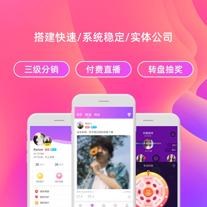 专业软件定制开发(软件开发项目总结)