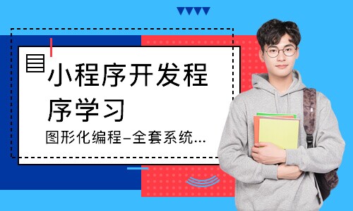 app专业定制开发(网站小程序开发)