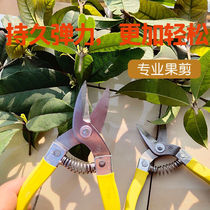Pruning shears grapes fruit trees scissors rough branches flower scissors labor-saving branches gardening scissors