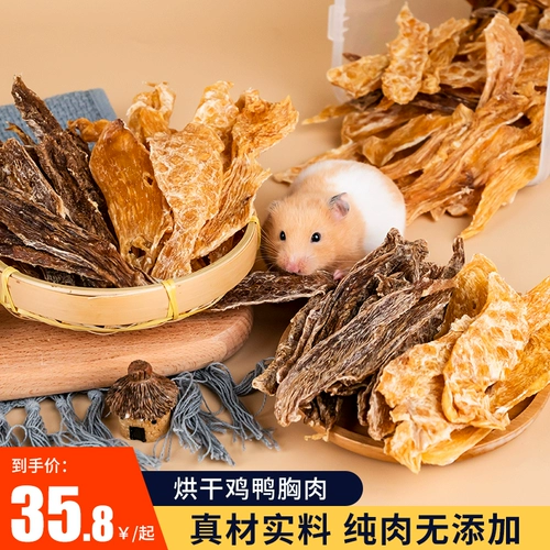 Хомять медведь карликовые цветочные ветви и крысы домашняя куриная куриная куриная грудь, утиная грудь, мясо, с высоким содержанием белка зубы
