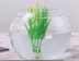 Lọ thủy tinh tròn trong suốt gửi giỏ trồng trong văn phòng cây xanh để bàn hoa thì là xanh thủy canh chậu cây hoa - Vase / Bồn hoa & Kệ