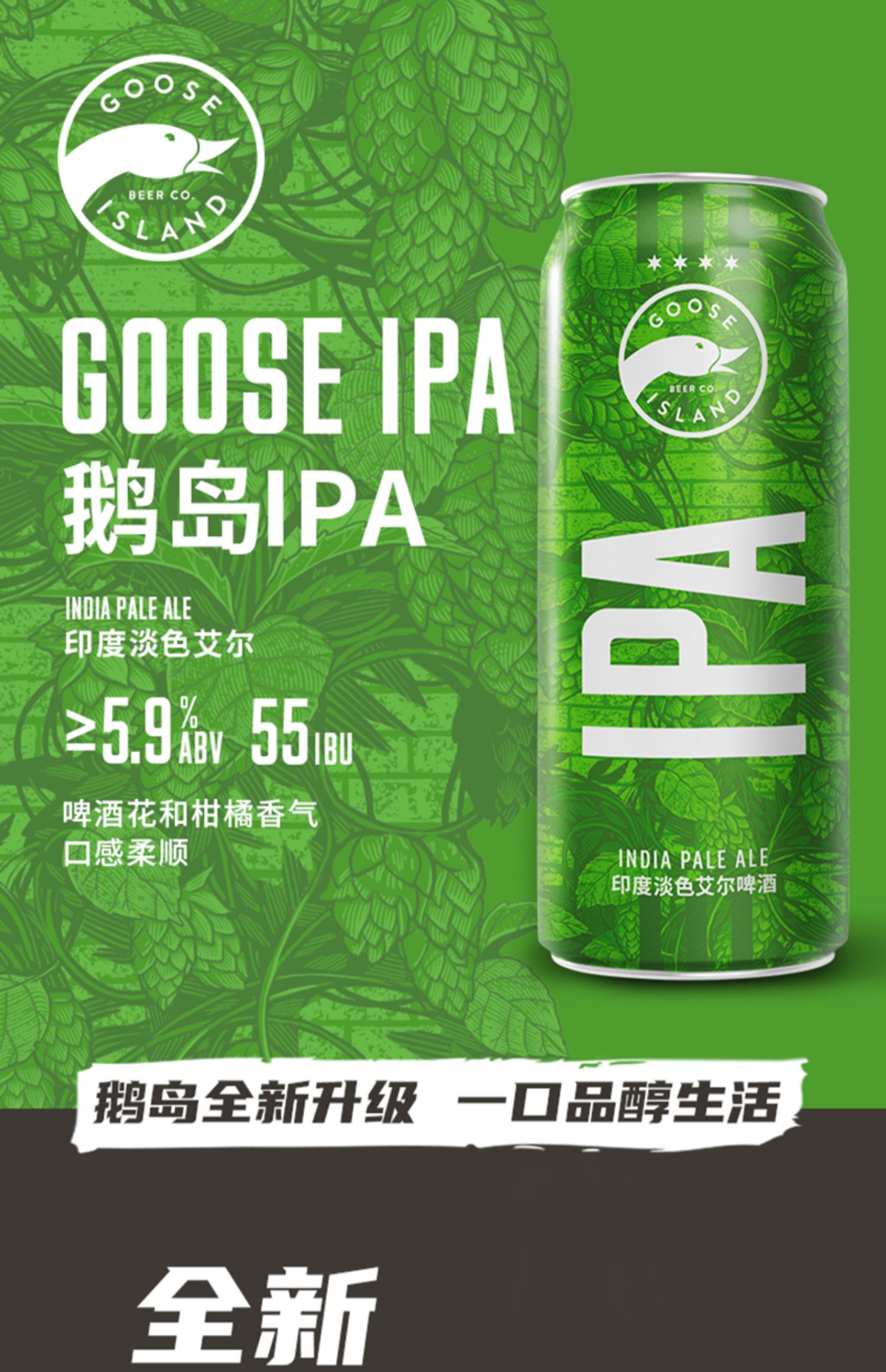 凑单195【百威】鹅岛IPA英式啤酒355ml*24