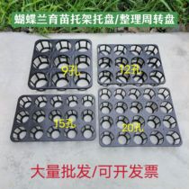 12-hole 15-hole Phalaenopsis tray flower seedling pot flower tray bracket succulent bracket mobile flower tray all-purpose tray