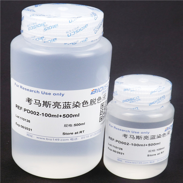 伊势久生物试剂 常规考马斯亮蓝染色试剂盒 实验用 科研专用