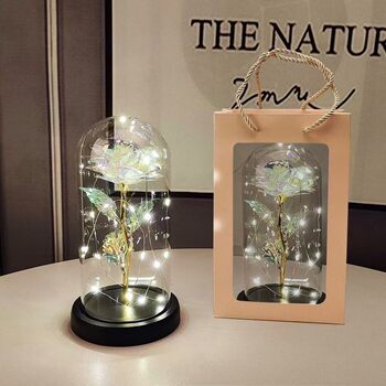 520 preserved flower plastic cover rose flower gold foil flower chinese valentine's day holiday gift transparent glitter