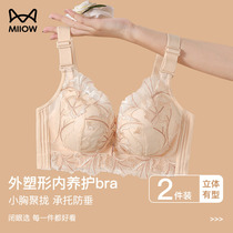 Catman Seamless Underwear Womens Push Up 7A Antibacterial Sexy Lace Bra Covers Secondary Breasts Soft Support Anti-Sagging
