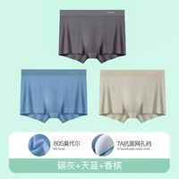 3 пакета [Classic Model Modal] Углеродная зола + небо синий + шампанское