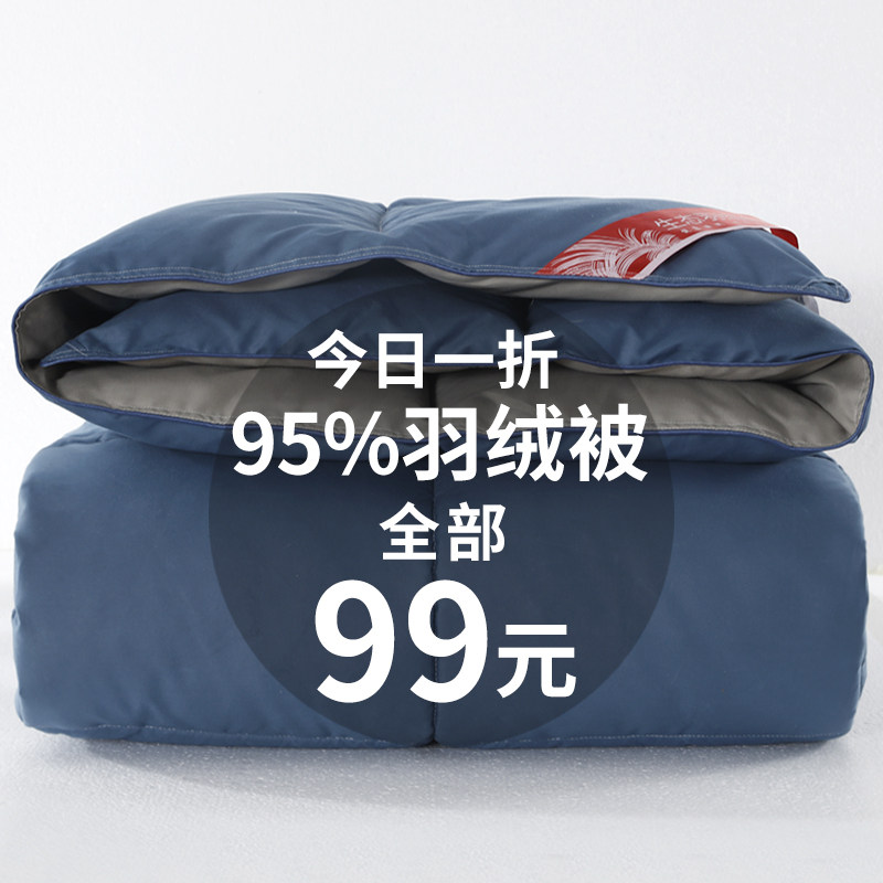 Clearance was winter thickened double quilt quilt 95 white goose down special single quilt core student dormitory