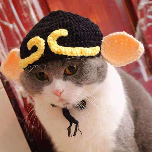 Кошка кошачья голова смешная, смешная лягушка головная одежда, шариковая голова свиньи Баджи Чунли собака Танга монаш