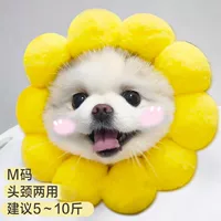 Солнечный цветок M Code