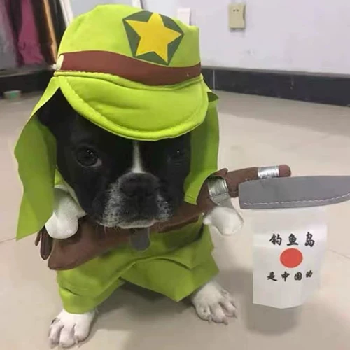 Лето Batga Pets Pets Murd