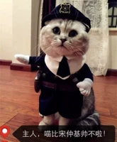 Вертикальная трансформация шерифа