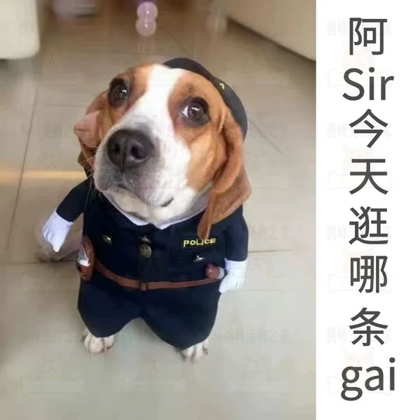 Товары от 携峰宠物之家