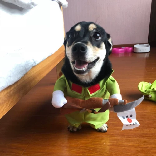 Лето Batga Pets Pets Murd