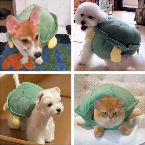 Жилет Pet Pet Turtle Shell, Bomekhashashashada Corder Doubi Bear Teddrahbrado Funny Clothing