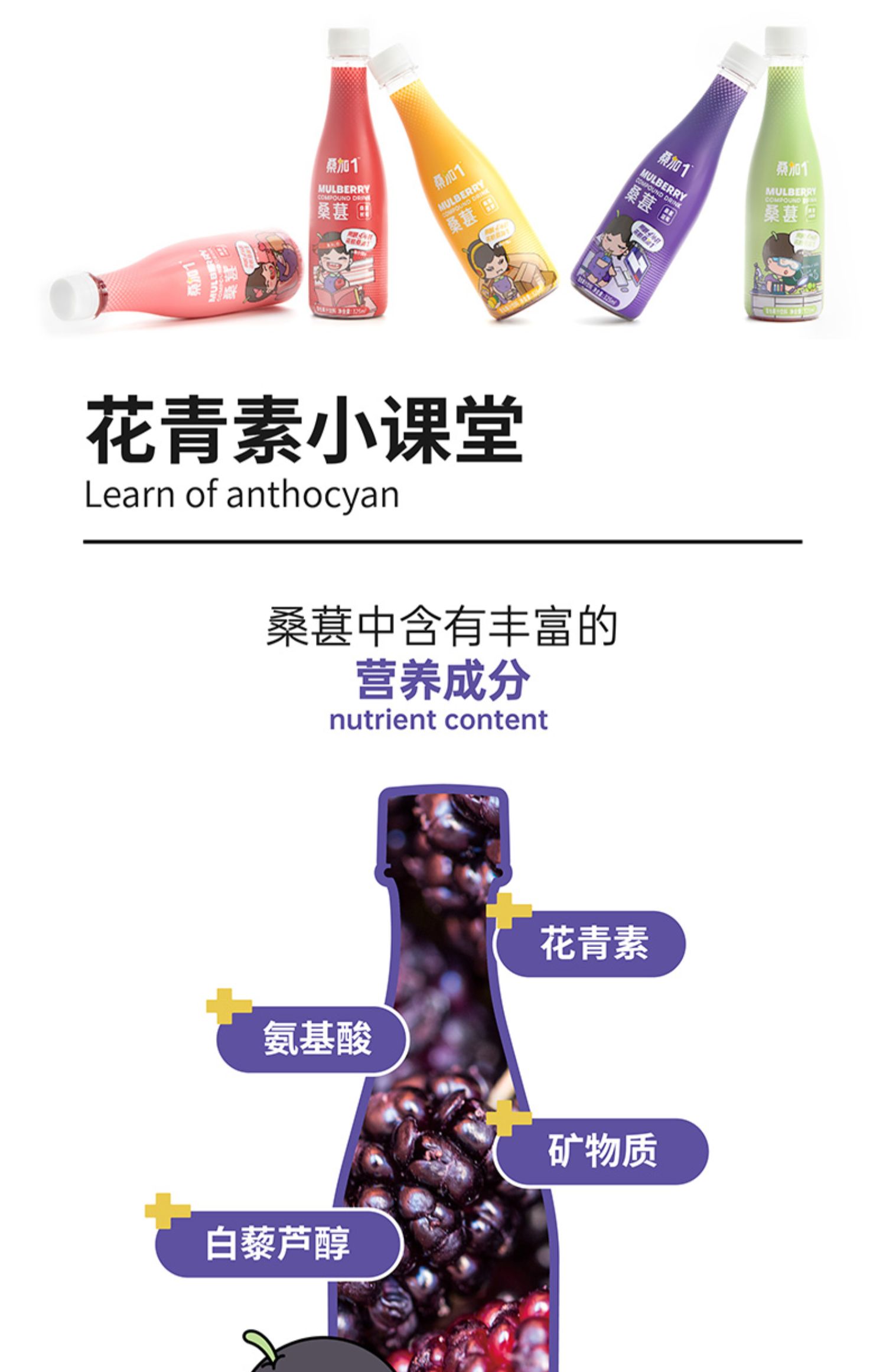 【桑加1】桑葚多味果汁325ml*6瓶