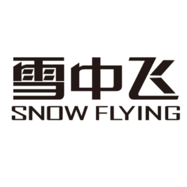 雪中飞靓欧品牌服饰店的LOGO