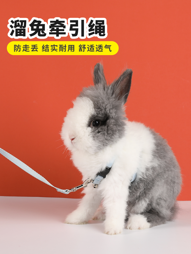 Rabbit Traction Rope for Rabbit God Instrumental Pet Rabbit anti-escape Rabbit Rabbit Anti Bite Vest Style Adjustable Special