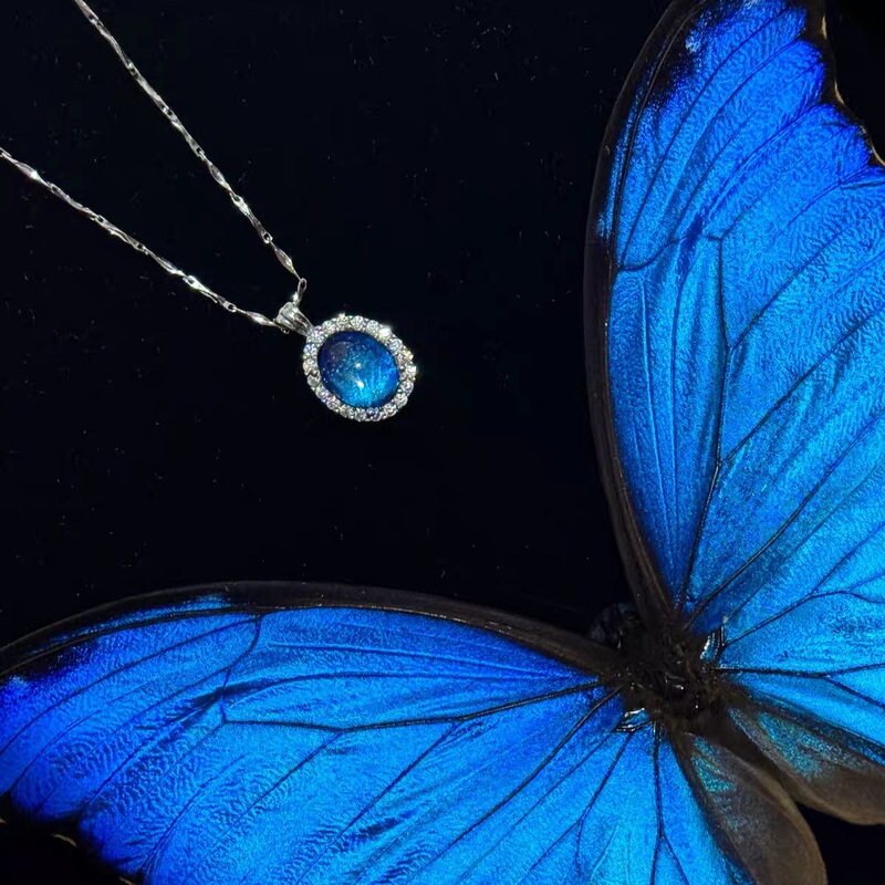 Butterfly Wing Dimension Handmade Blue Morpho Real Butterfly Wings Original Niche Couple Gift Necklace Pendant Adjustable