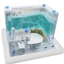 Ant ecological box super large Ant Castle to send Queen small ant nest ant nest ant nest Ant House palace home pet box