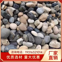 Hubei Natural River Pebble Substation Pebble Filter Material River Beach Stone Garden Greening Landscape Stone Used for Transformer