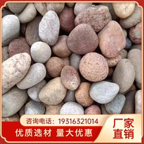 Jiangxi river pebbles cobble filter material substation transformer river pebble landscaping river beach