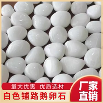 Fujian white cobblestone paving courtyard landscaping white stone garden decoration small pebbles white pebbles